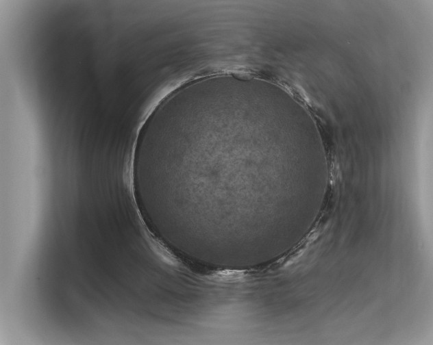 X0000112210052200908071502