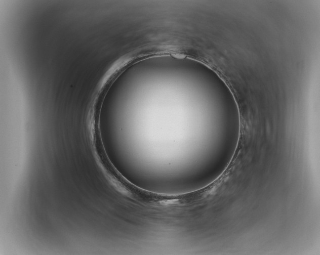 X0000112210054200908071502