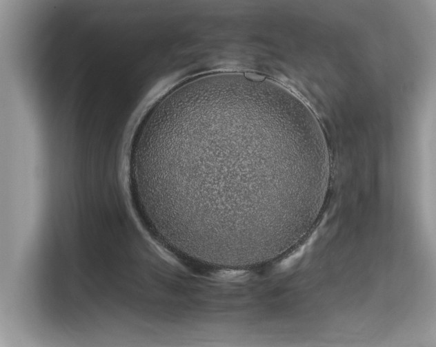 X0000112210055200908071502