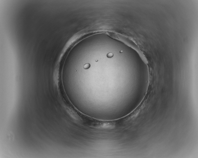 X0000112210056200908071502