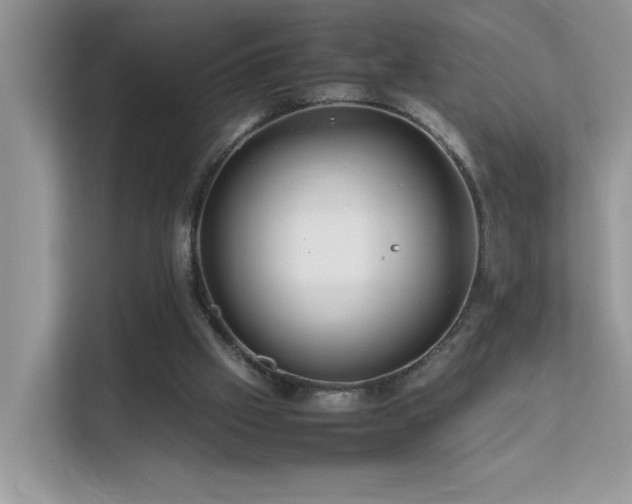 X0000112210057200908071502