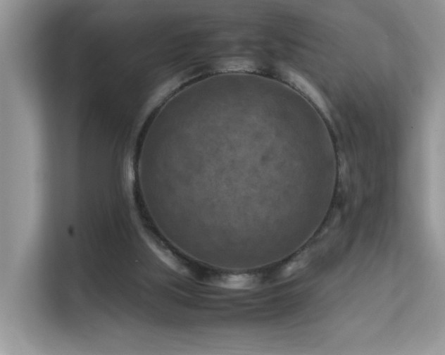 X0000112210059200908071502