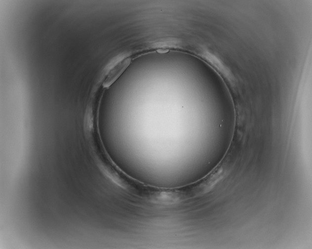 X0000112210060200908071502