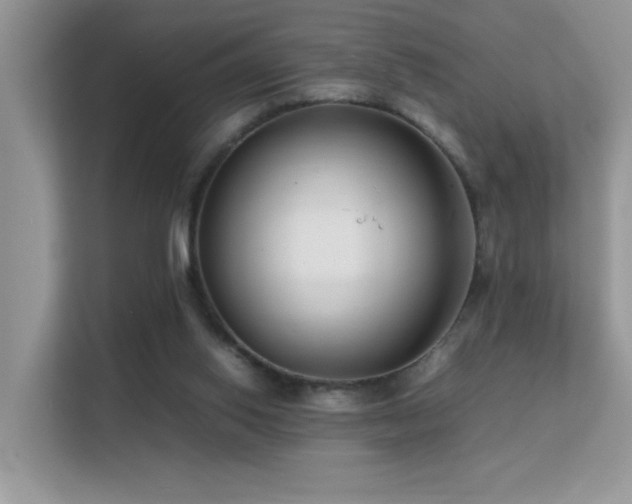 X0000112210062200908071502