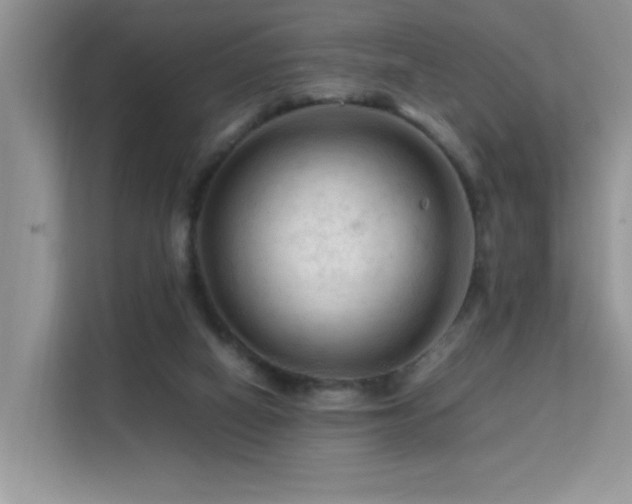 X0000112210066200908071502