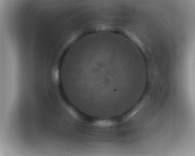 X0000112210067200908071502