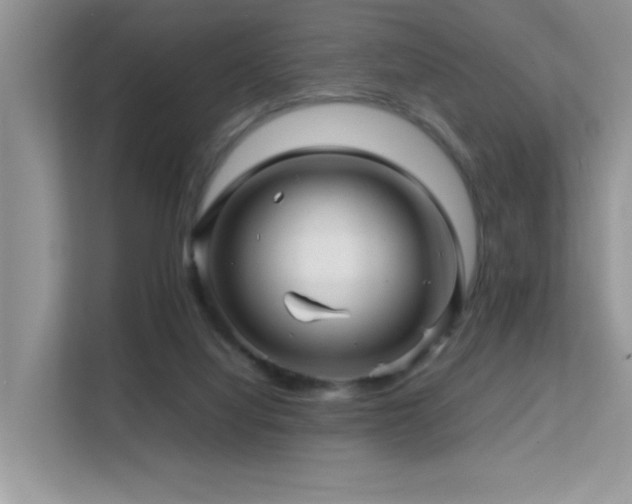 X0000112210068200908071502