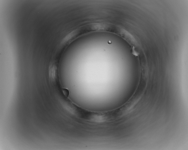 X0000112210071200908071502