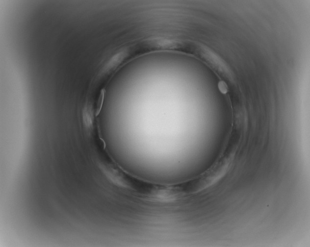 X0000112210072200908071502