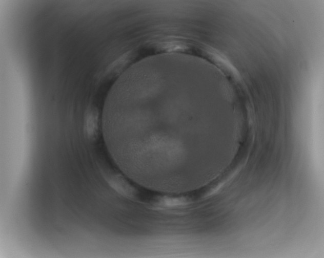 X0000112210073200908071502