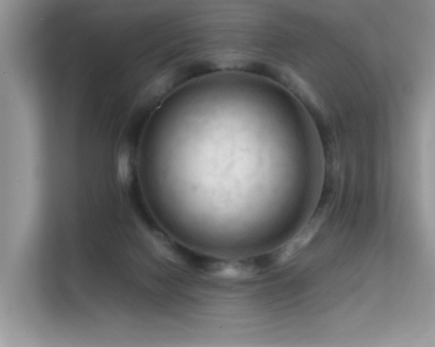 X0000112210074200908071502