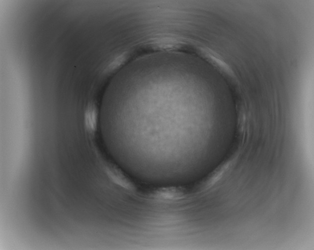 X0000112210076200908071502