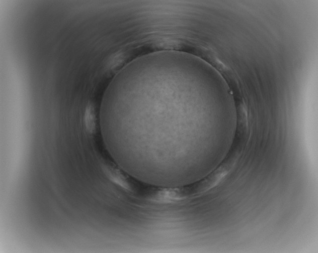 X0000112210080200908071502