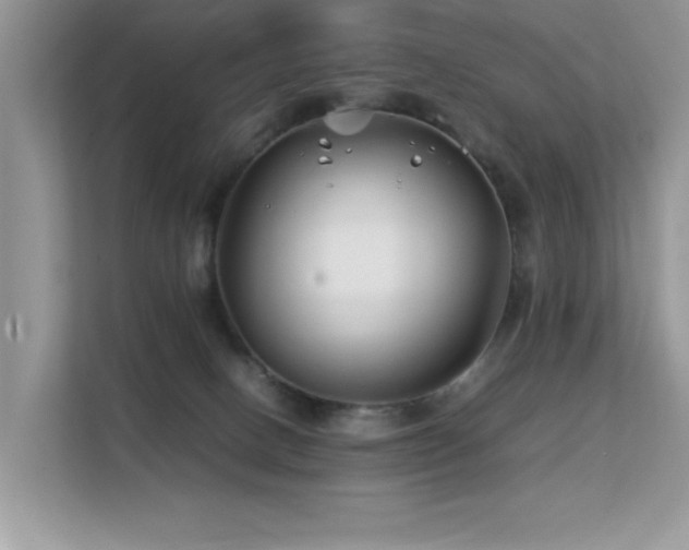 X0000112210082200908071502