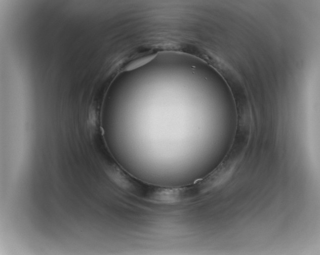 X0000112210084200908071502