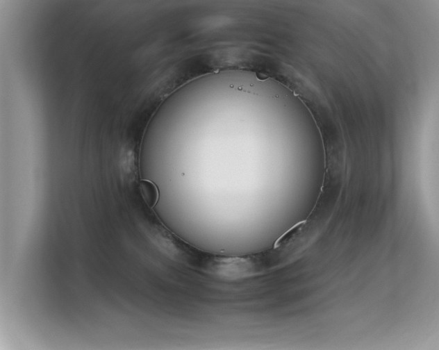 X0000112210087200908071502