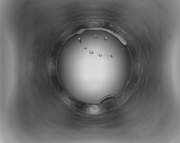 X0000112210091200908071503