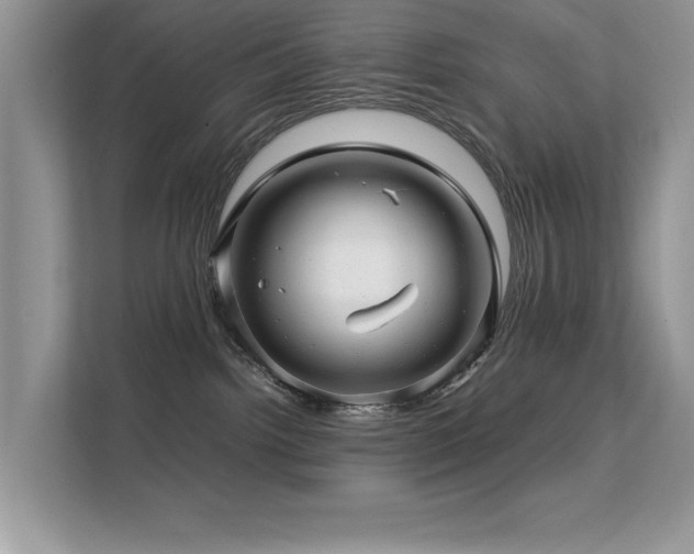 X0000112210092200908071503