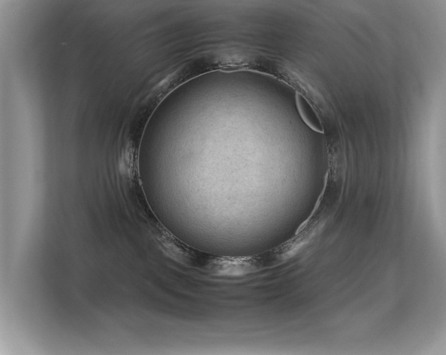 X0000112210093200908071503