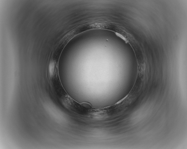 X0000112210095200908071503