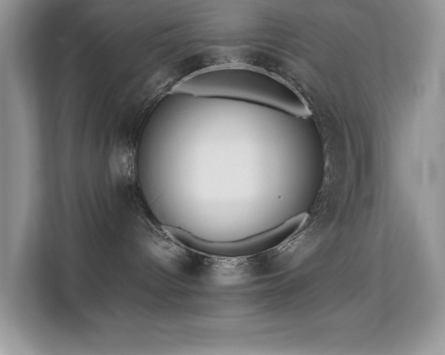 X0000112210096200908071503