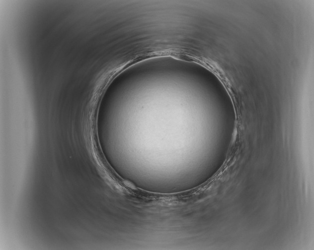 X0000112210097200908071502