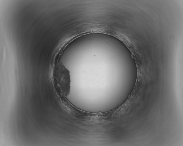 X0000112210098200908071502