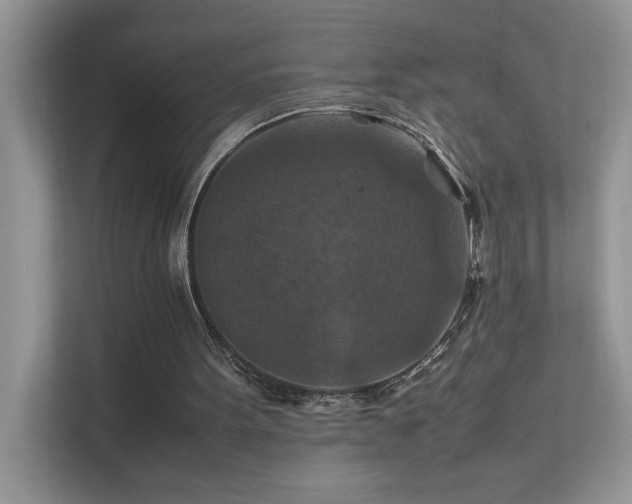 X0000112210099200908071502