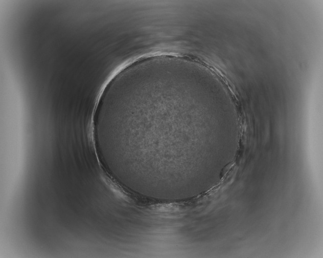 X0000112210100200908071502