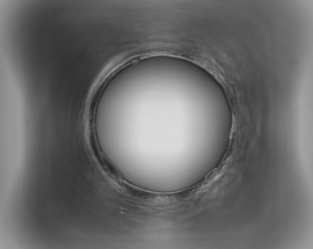 X0000112210101200908071502