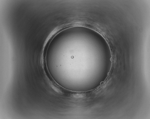 X0000112210102200908071502