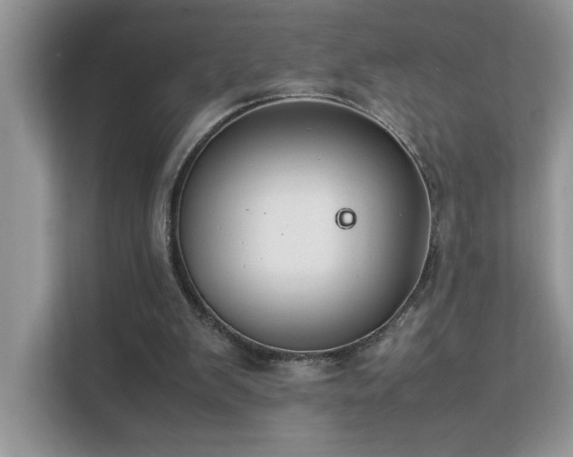 X0000112210103200908071502