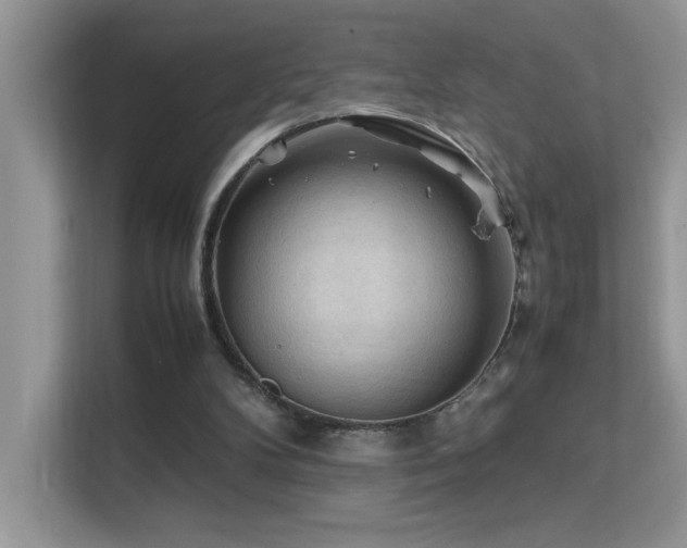 X0000112210104200908071502