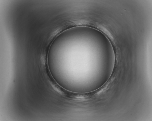 X0000112210105200908071502