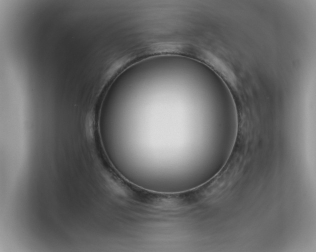 X0000112210107200908071502