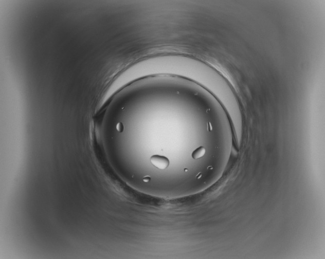 X0000112210109200908071502