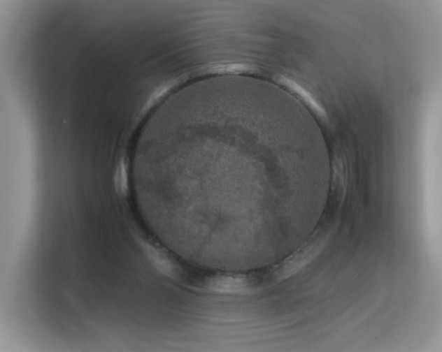 X0000112210110200908071502