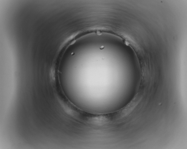 X0000112210112200908071502