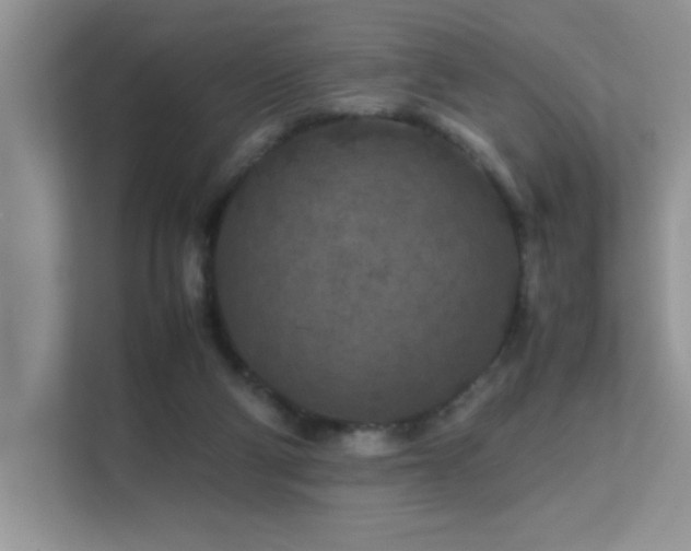 X0000112210114200908071502