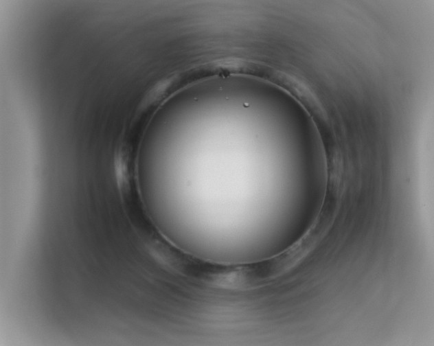 X0000112210116200908071502