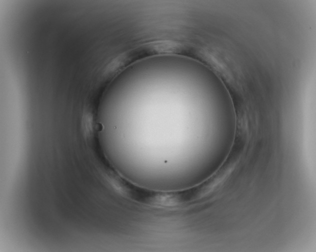 X0000112210117200908071502