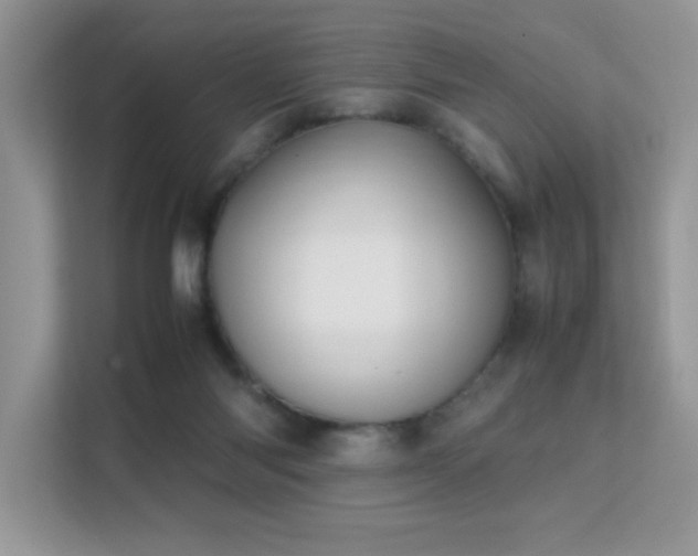 X0000112210118200908071502