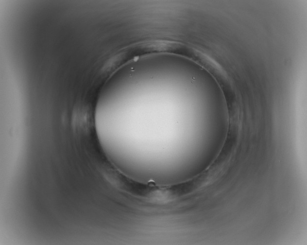 X0000112210119200908071502