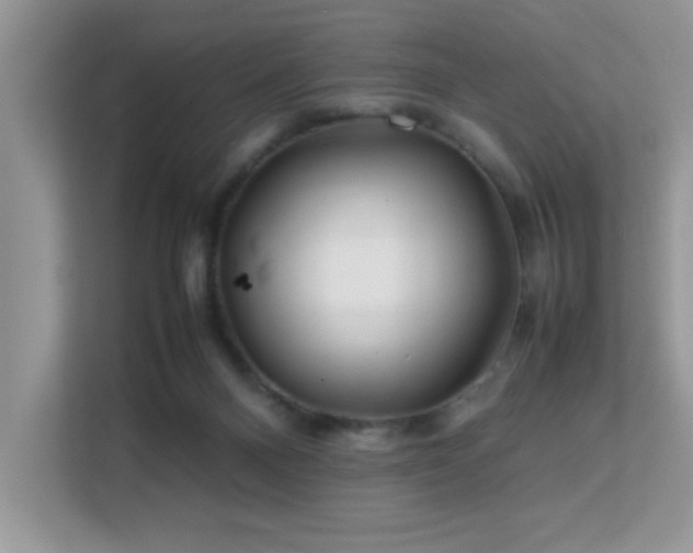 X0000112210120200908071502