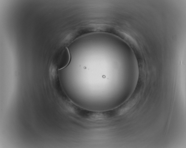 X0000112210123200908071502