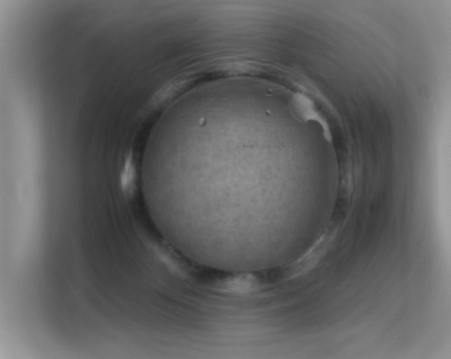 X0000112210124200908071502