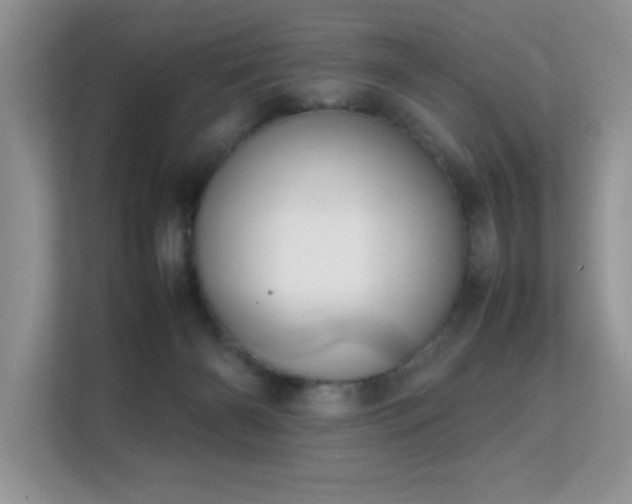 X0000112210126200908071502