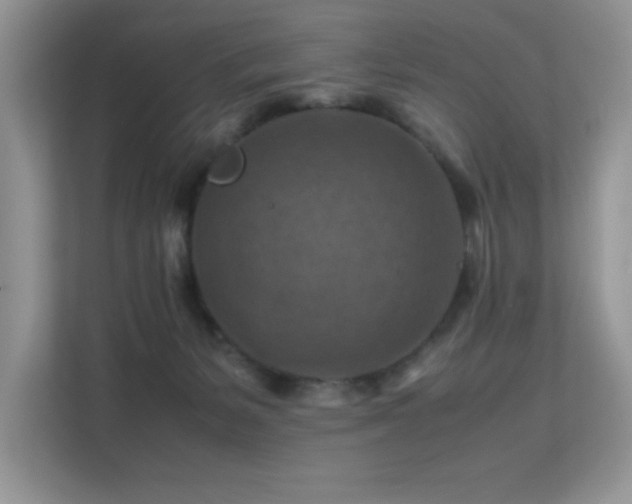 X0000112210127200908071502