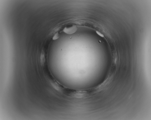 X0000112210128200908071502