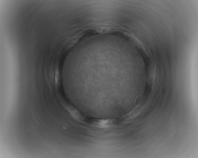 X0000112210130200908071502